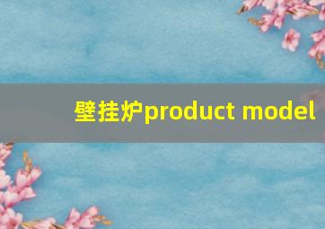 壁挂炉product model